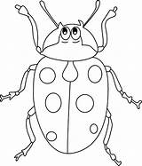 Coloring Bug Beetle Pages Ladt sketch template