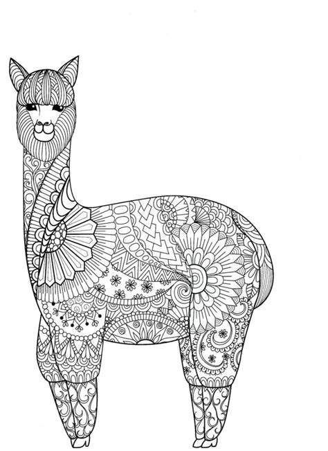 top  animal coloring pages inoticianet
