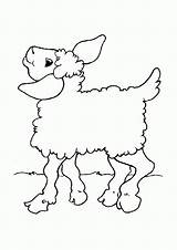 Lamb Behold sketch template