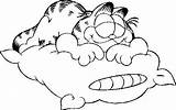 Garfield Dormindo Pintar sketch template