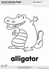 Alligator Coloring Super Crocodile Printables After While Simple Supersimple sketch template