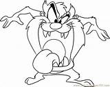 Cartoon Draw Taz Devil Tasmanian Drawing Characters Disney Cartoons Drawings Coloring Step Line Pages Color Looney Printable Easy Outline Character sketch template
