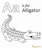 Coloring Alligator Letter Printable Kids Sheet Learning Alphabet Date Ant Apple sketch template