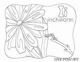 Inchworm Coloring Pages Template Letter sketch template