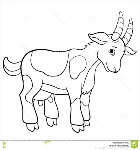 baby farm animals coloring pages  baby farm animal baby farm