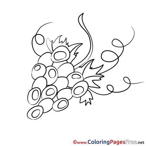 coloring pages   grapes