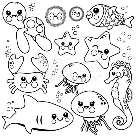 vector black  white illustration set  sea creatures coloring