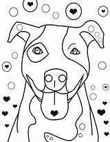 Pitbull Coloring Pages Falling Realistic Getcolorings Color American Pag sketch template