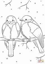Vogel Malvorlage Kolorowanka Zima Supercoloring Colouring Ausmalen Futterhaus Zum Entitlementtrap Uccellini Ausmalbild Vögel Wintervögel sketch template