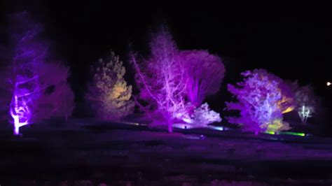 holiday tree light show illumination  morton arboretum  youtube