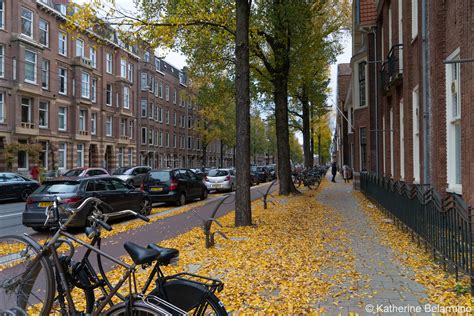 amsterdam vacation     neighborhoods  visit travel  world