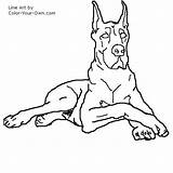 Dane Great Dog Drawings Coloring Line Color Drawing Danes Pages Animal Quilts Sketches Stencil Colouring Draw Dogs Kids Own Step sketch template
