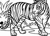 Tiger Coloring Pages Drawing Printable Kids Sheets Line Tigers Sheet Easy Adults Animal Color Cool Getdrawings Zoo Sketch sketch template