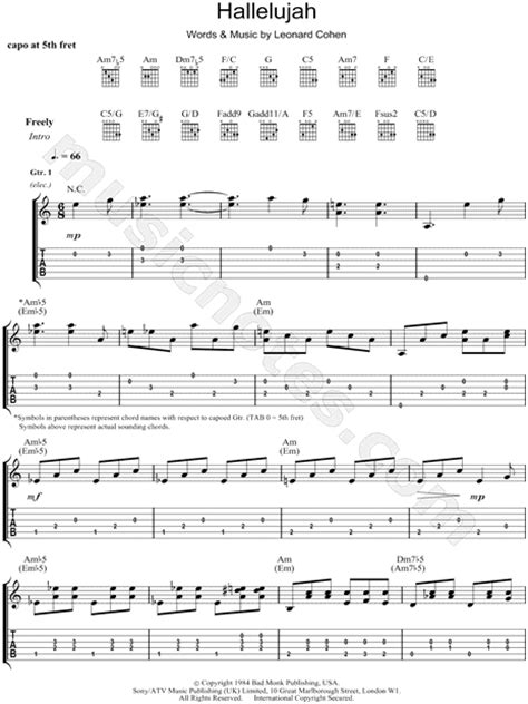 jeff buckley hallelujah guitar tab   major