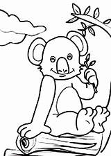 Koala Bear Coloring Sitting sketch template