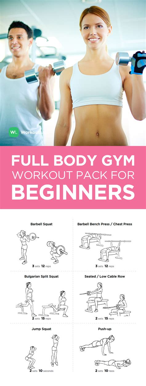 Full Body Gym Workout Pack For Beginners