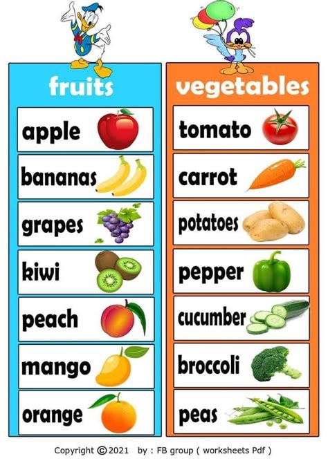 fruits  vegetables  kids basic english  kids english