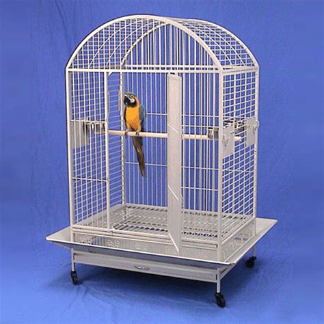 bird cages   west virginia