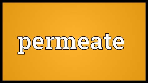 permeate meaning youtube