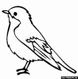 Robin Bird Red Drawing Coloring Pages Printable Getdrawings sketch template