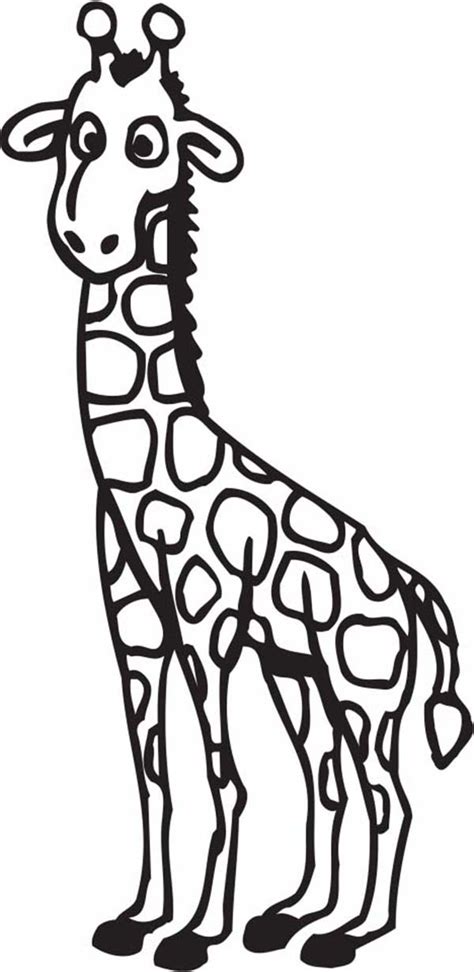 cartoon giraffe coloring page netart