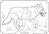Wolf Coloring Mexican Gray Pages Designlooter sketch template