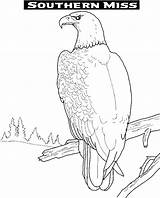 Eagle Coloring Pages Eagles Golden Print Color Kids Library Clipart sketch template
