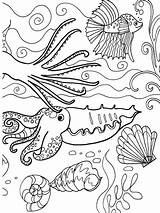 Dover Sea Océan Coquillages Appel Pintere Stencils Azcoloring Eklablog Mitsouko sketch template