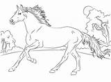 Konie Kolorowanki Drukowania Druku Dzieci Doroslych sketch template