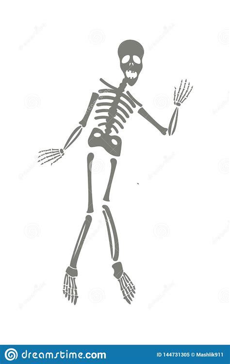 human body anatomy man royalty free illustration