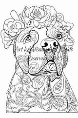 Coloring Pages Cry Smile Later Now Skull Dog Adult Dogs Pitbull Adults Book Chien Dessin Sugar Books Color Animal Vol sketch template