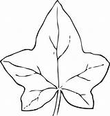 Leaf Coloring Pages Simple Lea sketch template