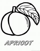 Apricot Apricots sketch template