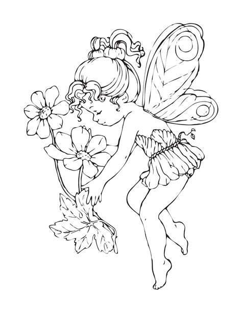 printable coloring pages  adults fairies  getdrawings