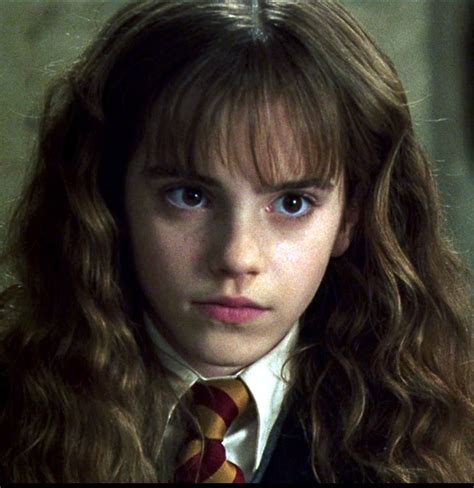 hm hermione granger photo  fanpop