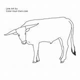 Longhorn Steer Coloring Pages sketch template