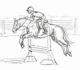 Horses Structural Pferde Skizze Jumper Drawsketch Developing Springpferde Derby Janet sketch template
