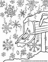 Adults Momsandcrafters Snowflake sketch template