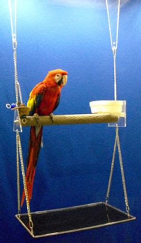 macaw parrot perch swing gym feeder cups bird toy play gym playground ebay