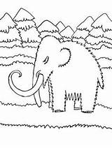 Mammoth Mammut Disegni Wooly Woolly Bambini Dinosauri Mamoth Elegante Elephants Malvorlagen Coloringhome Cucciolo sketch template