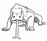 Komodo Dragon Dragons Head Animals Drawing Clipart Coloring Pages Two Sixty Animal Draw Kids Color Printable Getdrawings Visit Clipground Jem sketch template