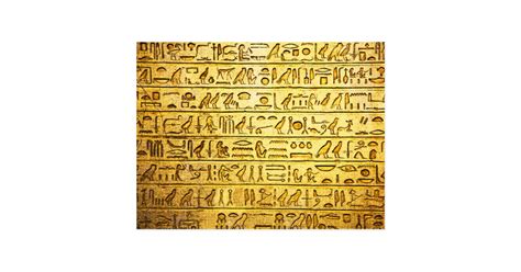 Ancient Egyptian Hieroglyphs Yellow Postcard