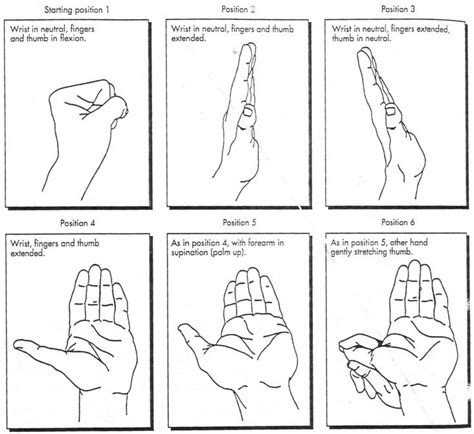 18 Best Images About Nerve Glides And Exercises On Pinterest Ulnar
