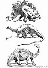 Intheplayroom Dinosaurier Allosaurus Kleurplaat Playroom Bubakids sketch template
