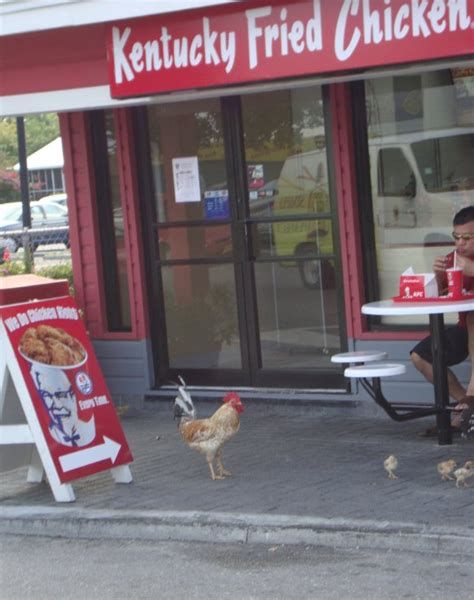 the 25 funniest moments in kfc history gallery