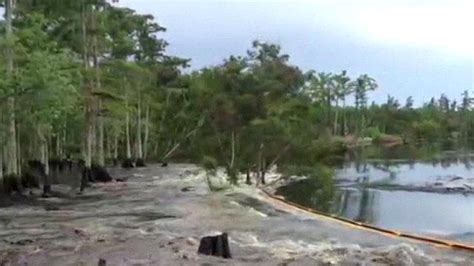 Huge Sinkhole Swallows Tree In Us State Of Louisiana Bbc