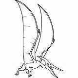 Pteranodon Coloring Pages Getcolorings Printable Screaming sketch template