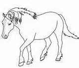 Horse Coloring Pages Palomino Welsh Horses Color Pony Print Printable Shetland Rearing Drawing Gypsy Vanner Cute Outlines Draft Kids Getcolorings sketch template