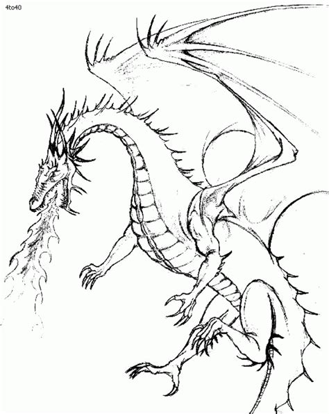 fire breathing dragon drawing  getdrawings
