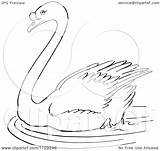 Swan Swimming Cartoon Clipart Coloring Outlined Picsburg Vector Clipartof sketch template